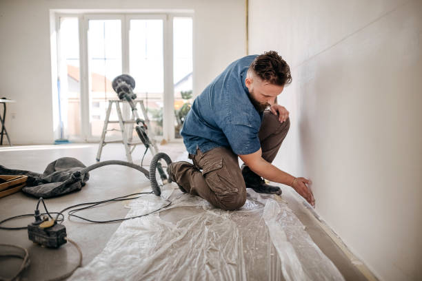 Best Drywall for Remodeling  in Andover, MN