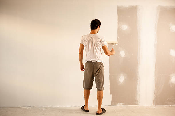 Best Repainting for Renovations  in Andover, MN