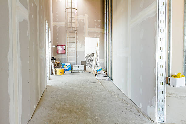 Best Drywall Removal and Disposal  in Andover, MN