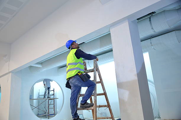 Best Eco-Friendly and Low-VOC Painting  in Andover, MN